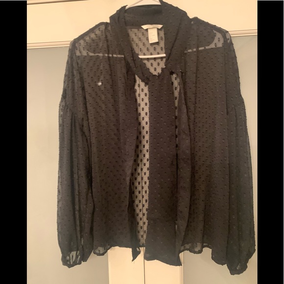Black sheer long sleeve top (H&M) - Picture 1 of 3